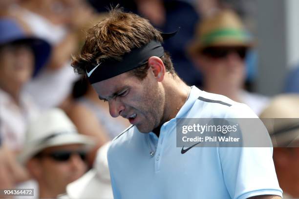 Juan Martin Del Potro of Argentina during his Mens Singles Final match against Roberto Bautista Agut of Spain during day six of the ASB Men's Classic...