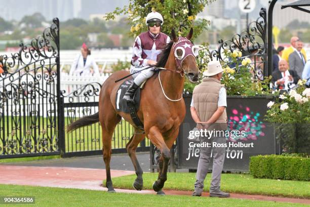 Ethan Brown returns to the mounting yard on Twitchy Frank after winning the Craftsman Handicap at Flemington Racecourse on January 13, 2018 in...