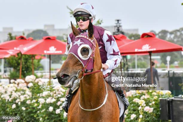 Ethan Brown returns to the mounting yard aboard Twitchy Frank after winning the Craftsman Handicap at Flemington Racecourse on January 13, 2018 in...