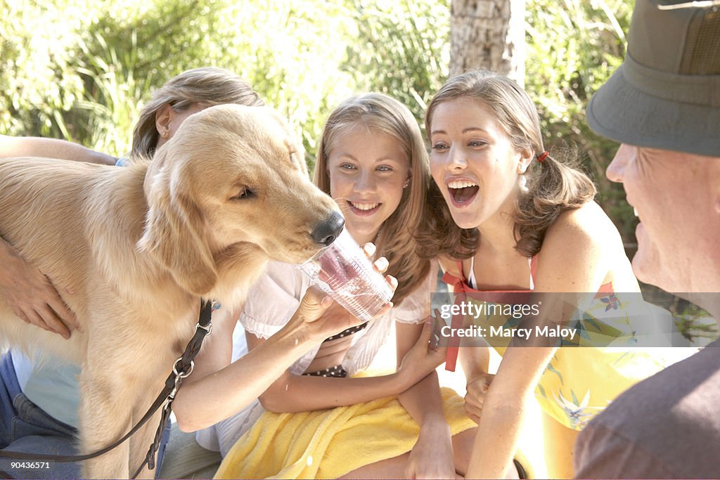 Dog drinking out of a cup at a family picnic.