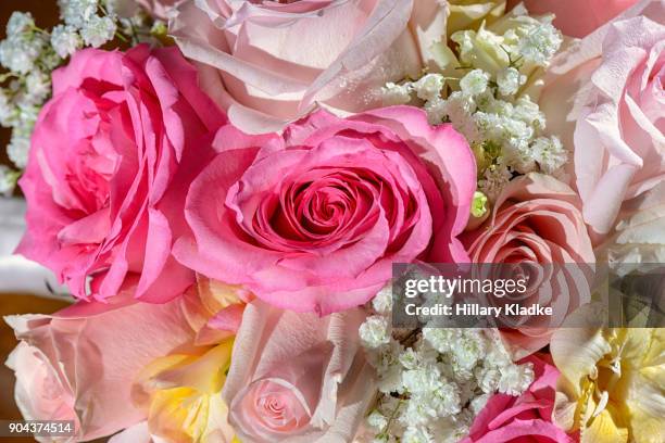 roses and baby's breath - dozen roses - fotografias e filmes do acervo