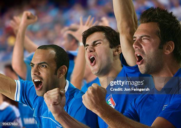 italian football fans cheering - close to stockfoto's en -beelden