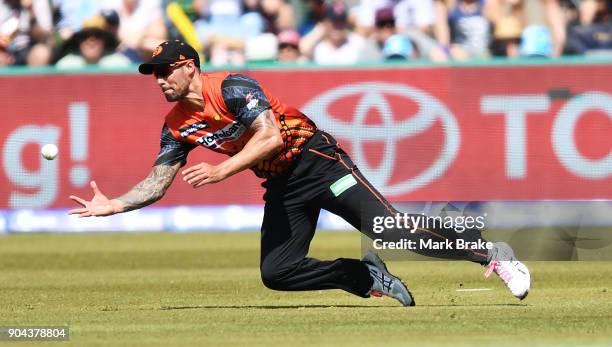 Mitchell Johnson of the Perth Scorchers catches Jake Lehmann of the Adelaide Strikers during the Big Bash League match between the Adelaide Strikers...