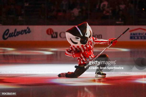 Wisconsin mascot Bucky Bader during a college hockey match between the University of Wisconsin Badgers and the Michigan State University Spartans on...