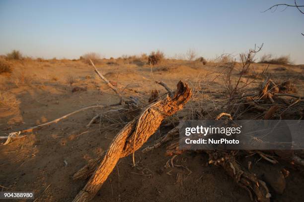 Thar Desert or The Great Indian Desert is the world's 18th largest desert and covers 10% of India. Thar desert lies between India and Pakistan. In...