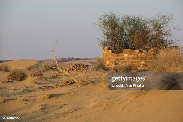 Thar Desert or The Great Indian Desert is the world's 18th largest desert and covers 10% of India. Thar desert lies between India and Pakistan. In...