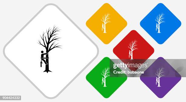 tree cutting color diamond vector icon - tree cutting stock illustrations