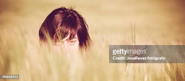 young girl hidden in a wheat field - fotógrafo stock pictures, royalty-free photos & images