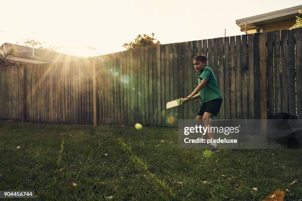 practising his skills - playing cricket stock pictures, royalty-free photos & images