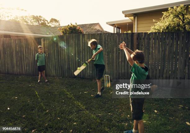 having a fun time in the yard - cricket player stock pictures, royalty-free photos & images