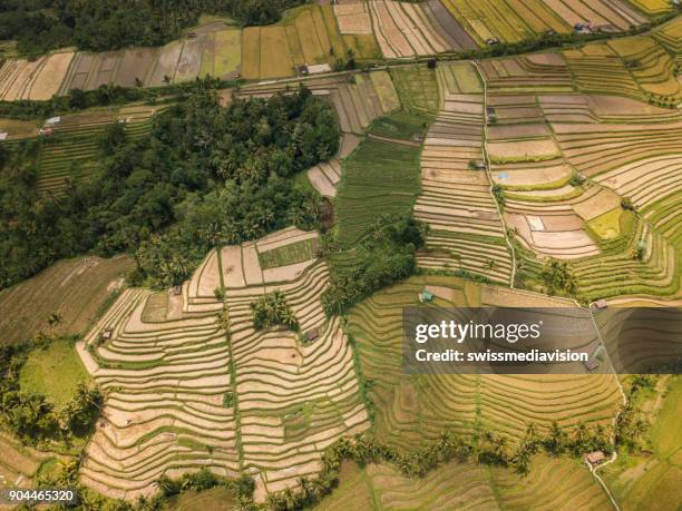 aerial view of rice terraces in ubud, bali, indonesia - jatiluwih rice terraces stock pictures, royalty-free photos & images