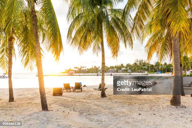 rilassarsi sull'amaca dopo una giornata in spiaggia nei caraibi - isole cayman - grand cayman islands foto e immagini stock