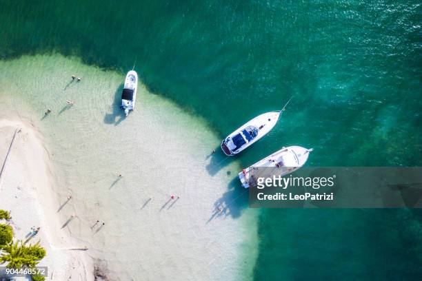 spiaggia tropicale nei caraibi - grand cayman island - grand cayman islands foto e immagini stock