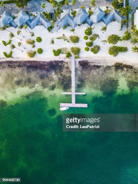 spiaggia tropicale nei caraibi - grand cayman island - grand cayman islands foto e immagini stock