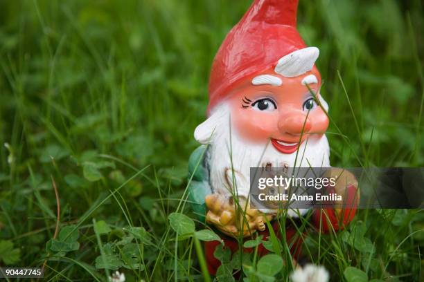 a garden gnome in the grass switzerland. - garden gnome stock pictures, royalty-free photos & images