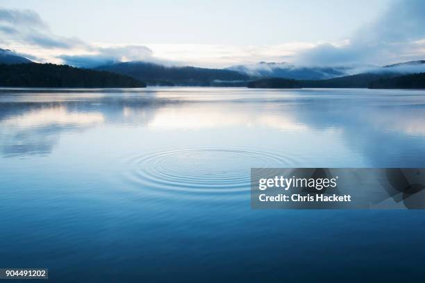 new york, lake placid, circular pattern on water surface - tranquil scene stock-fotos und bilder