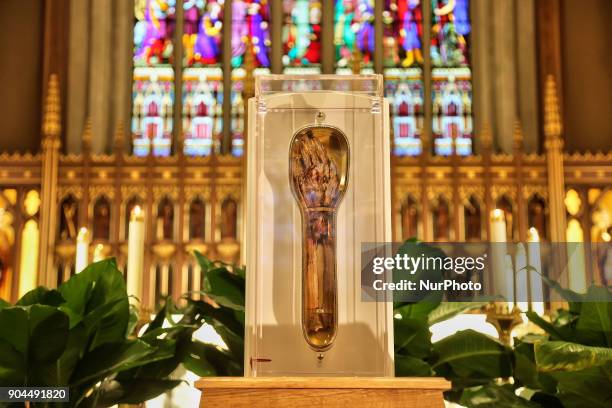 The forearm of Saint Francis Xavier, a popular saint revered by Catholics worldwide, was on display at St. Michaels Cathedral Basilica in Toronto,...