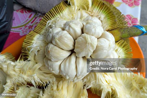 ripe tarap marang fruit - marang tree stock pictures, royalty-free photos & images