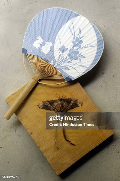 Japanese Uchiwa and a moth made by brunt paper by Japanese artist at Japanese house-cum-studio in Santiniketan, Birbhum dist, on January 8, 2018 in...