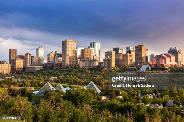 canada, alberta, edmonton, cityscape with trees in foreground - edmonton fotografías e imágenes de stock