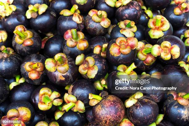 purple mangosteen - asian market stock pictures, royalty-free photos & images