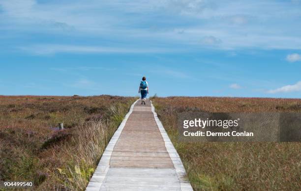 ireland, cavan county, cuilcagh mountain park, woman on boardwalk - cavan images stock pictures, royalty-free photos & images