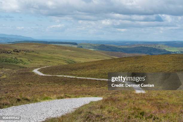 ireland, cavan county, cuilcagh mountain park, winding road - cavan images stockfoto's en -beelden