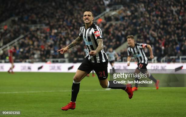 Joselu of Newcastle United celebrates after scoring his sides first goal during the Premier League match between Newcastle United and Swansea City at...