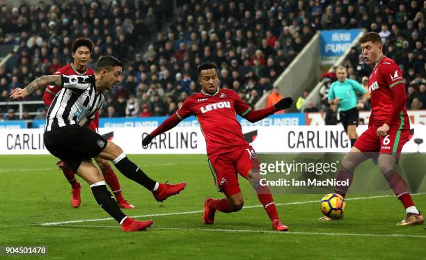 Joselu of Newcastle United scores his sides first goal during the Premier League match between Newcastle United and Swansea City at St. James Park on...