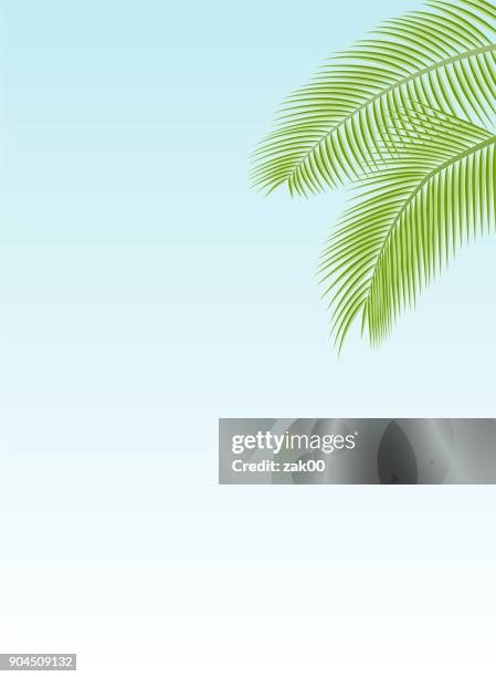palm leaf template - coconut pattern stock illustrations
