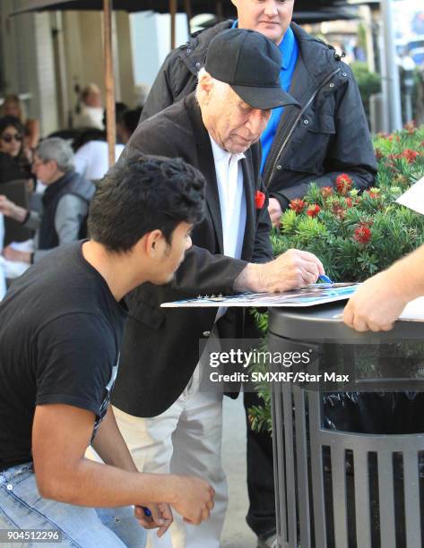 Mel Brooks is seen on January 12, 2018 in Los Angeles, CA.