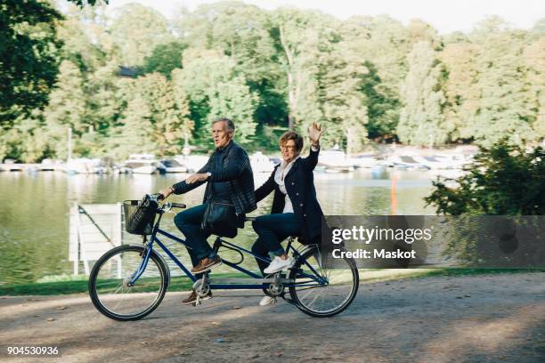 senior couple enjoying tandem bike ride by pond in park - tandem bicycle foto e immagini stock