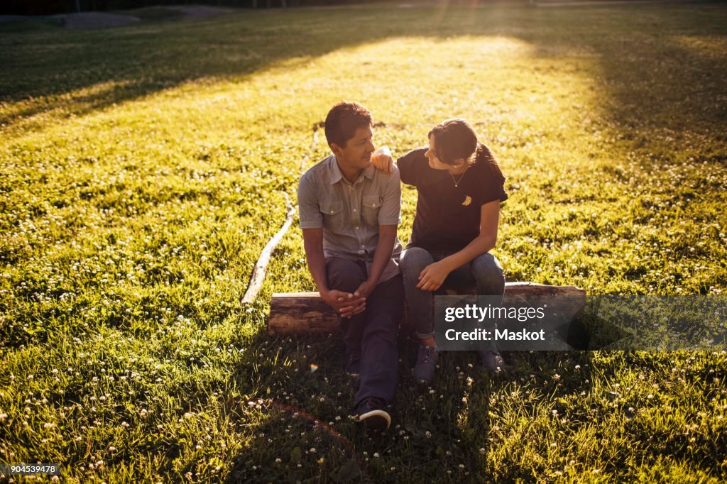 Father and daughter talking while sitting on log amidst grassy field at park during sunny day