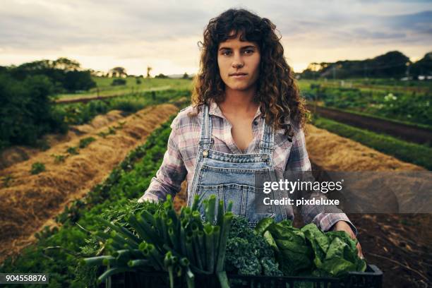 the harvest is good - farmer female confident stock pictures, royalty-free photos & images