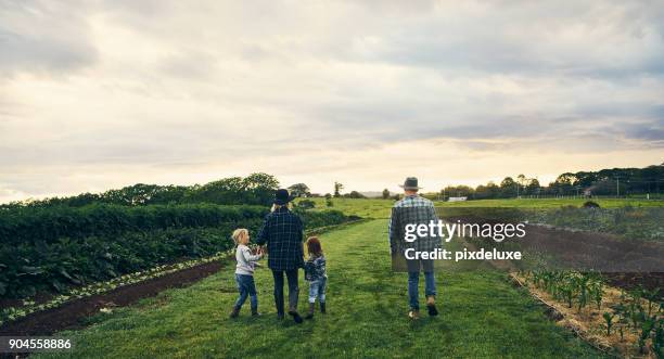 it's a family-run farm - farm wife stock pictures, royalty-free photos & images