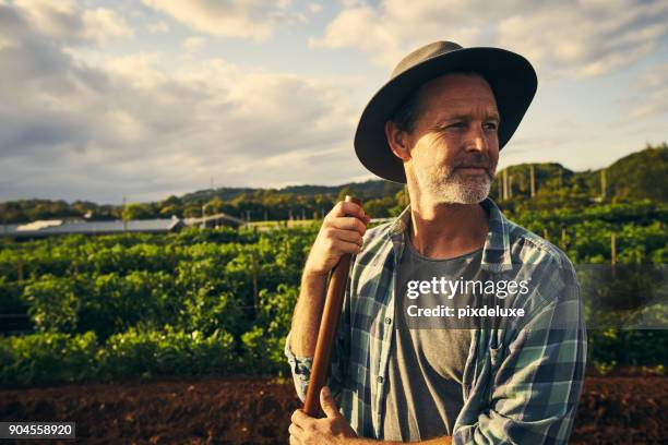 quando si tratta di agricoltura, devi essere messo le mani su - farmer foto e immagini stock