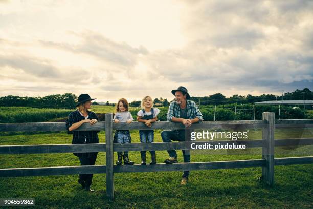 la loro piccola famiglia di quattro persone nella fattoria - fattoria foto e immagini stock