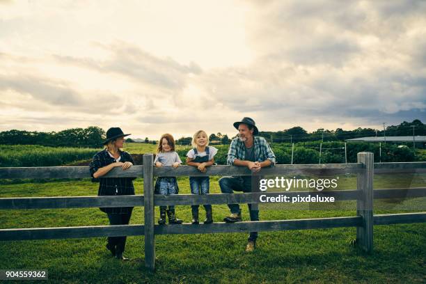 hun kleine familie van vier op de boerderij - farm family stockfoto's en -beelden