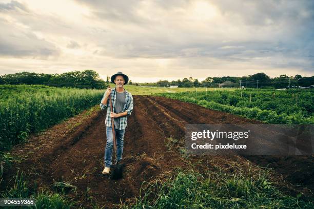 these lands need to be tended - verdure stock pictures, royalty-free photos & images