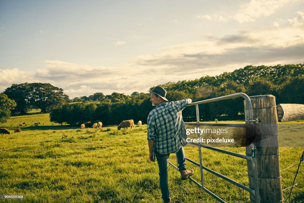 His eyes are always on the farm