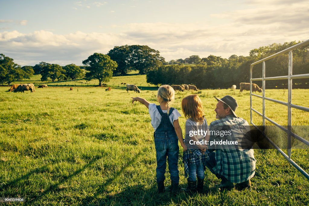 ¿Qué es eso una hacer?