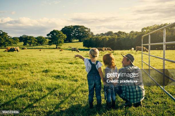 cosa sta facendo quello? - farmer foto e immagini stock