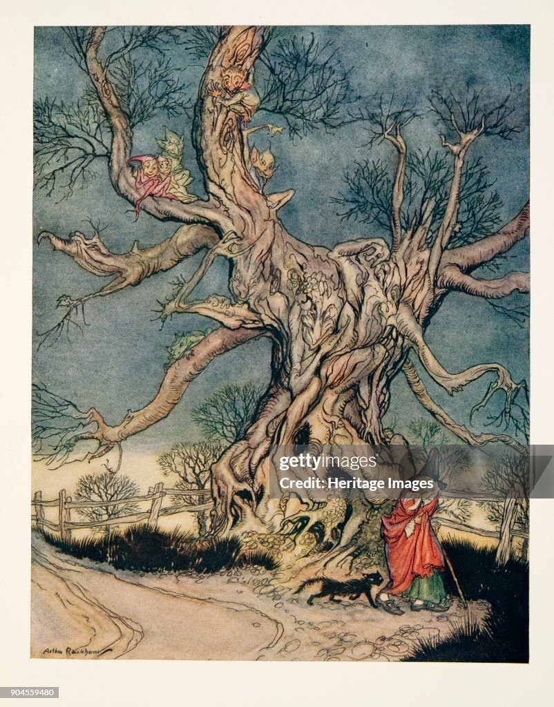 Major Andre'S Tree