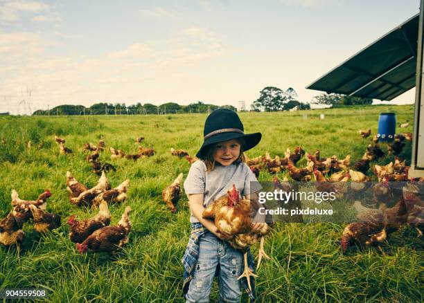 dit is allemaal van mij - australia bird stockfoto's en -beelden