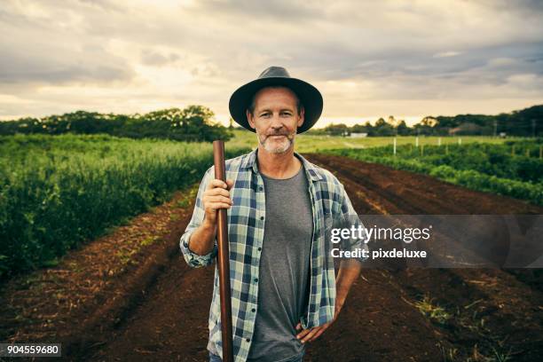 this farm is my pride and joy - harvesting herbs stock pictures, royalty-free photos & images