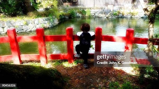 on the fence - 三島市 ストックフォトと画像