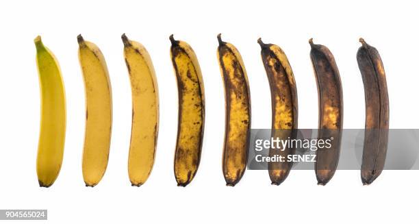 aging process of banana on white background - platano fotografías e imágenes de stock