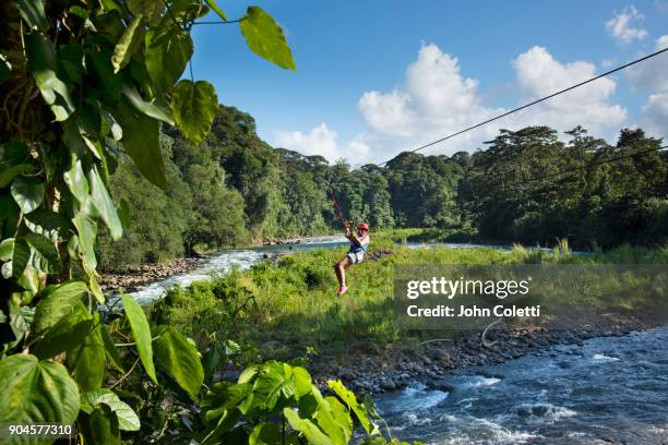 costa rica, zip line, sarapiqui river, - costa rica women stockfoto's en -beelden