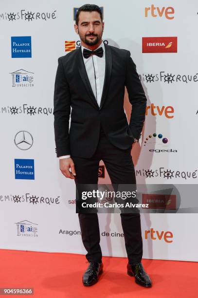 Antonio Velazquez attends the 23rd edition of Jose Maria Forque Awards at Palacio de Congresos on January 13, 2018 in Zaragoza, Spain.