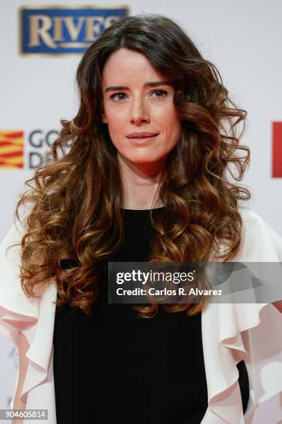 Pilar Lopez de Ayala attends the 23rd edition of Jose Maria Forque Awards at Palacio de Congresos on January 13, 2018 in Zaragoza, Spain.